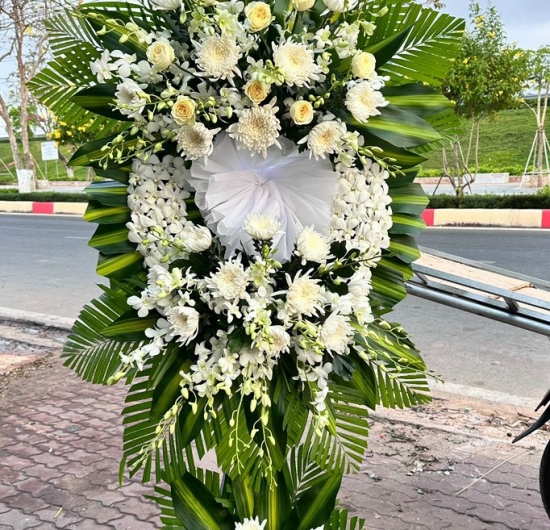 Mẫu HCB 38