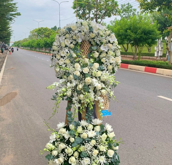Mẫu HCB 46