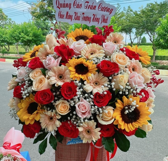 Mẫu HTB 04