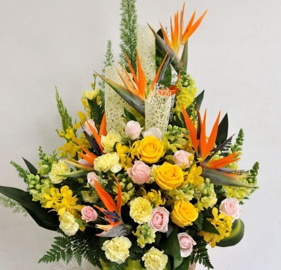 Mẫu HTB 04