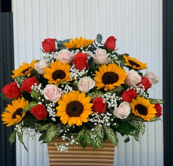 Mẫu HTB 04