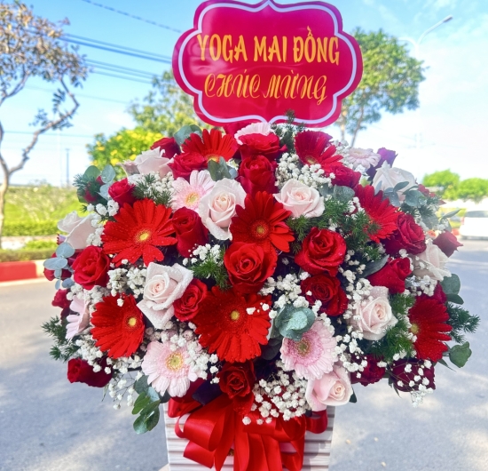 Mẫu HCM 05