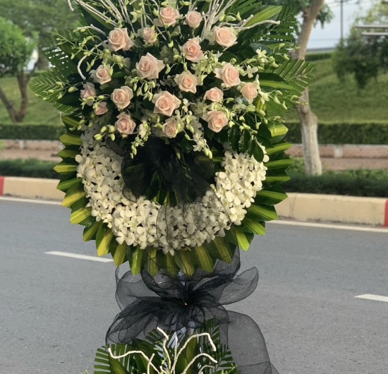 Mẫu HCB 41