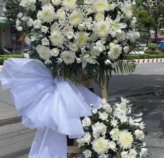 Mẫu HCB 35