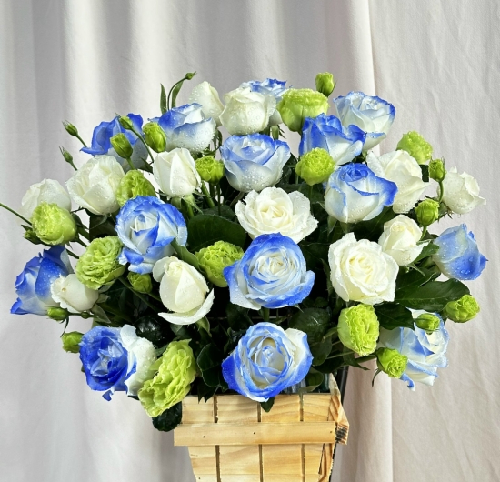 Mẫu GH 14