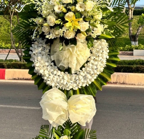 Mẫu HCB 47