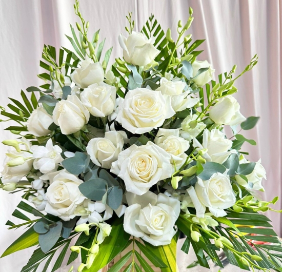 Mẫu HCB 50 